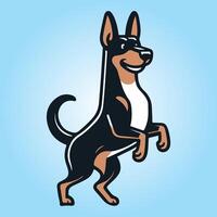 German Pinscher Dog stands on hind legs illustration vector