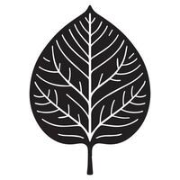 A Teak leaf illustration in black and white vector