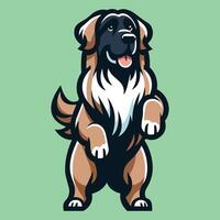 Leonberger Dog stands on hind legs illustration vector