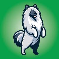 Keeshond Dog stands on hind legs illustration vector