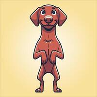 Vizsla dog stands on hind legs illustration vector
