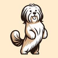 Tibetan Terrier Dog stands on hind legs illustration vector