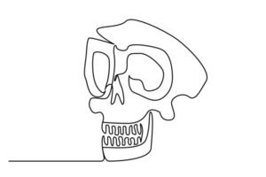 human head skull bones anatomy line art vector