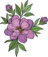 illustration of a delicate peony flower. Pink hand-drawn peony on a transparent background. Pink flowers for creating postcards, floral patterns and ornaments. vector