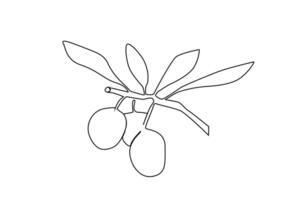 olive tree branch leaves fruit line art vector