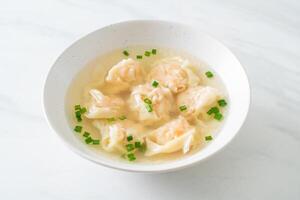 shrimp dumpling soup in white bowl photo