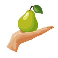 Freshly and healthy green pear in the palm of the hand isolated on white background. illustration in flat style with dietary fruit. Clipart for card, banner, flyer, poster design vector