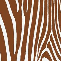 marrón cebra impresión modelo animal piel resumen para impresión, corte, artesanía, pegatinas, web, cubrir, cubrir página, fondo de pantalla y más. vector