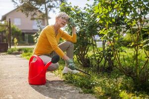 Senior woman is feeling tired and having pain in her body while gardening in her yard. photo