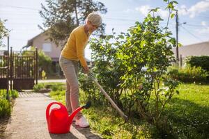 Happy senior woman gardening in her yard. She is using garden hoe. photo