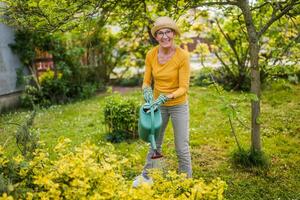 Happy senior woman enjoys watering plants in her garden. photo