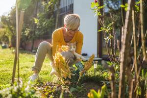 Happy senior woman enjoys gardening with her cute cat. She is pruning plants photo