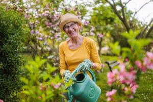 Happy senior woman enjoys watering plants in her garden. photo