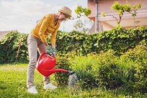 Happy senior woman enjoys watering plants in her garden. photo