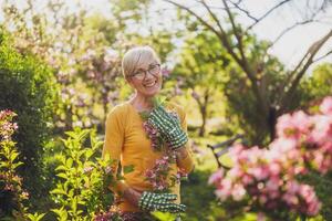 Happy senior woman enjoys looking at flowers in her garden. photo