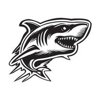 Black and white image of shark vector