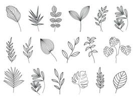 Leaves line art collection. Set of leaf minimal artwork. vector