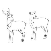 Continuous line drawing of elegance cute male and female deer. National zoo logo identity. Animal hunting club. vector