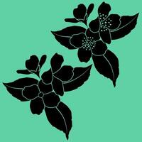 Spring Blooming Jasmine Flowers Silhouettes, Stencils vector