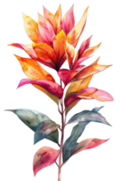 cordyline blad, vattenfärg tropisk gräns, vattenfärg illustration, png