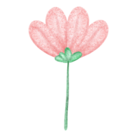 Pink flower icon design. png