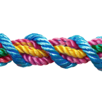 colorful rope with knots partnership isolated on transparent background png