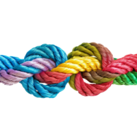 colorful rope with knots partnership isolated on transparent background png