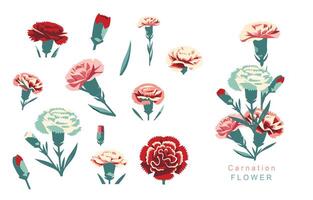 carnation object element.use for mother's day design vector