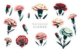 carnation object element.use for mother's day design vector