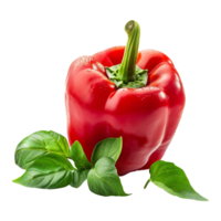 Fresh red ripe pepper with leaves isolated on transparent background png