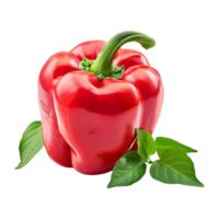 Fresh red ripe pepper with leaves isolated on transparent background png