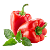 Fresh red ripe pepper with leaves isolated on transparent background png