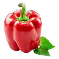 Fresh red ripe pepper with leaves isolated on transparent background png