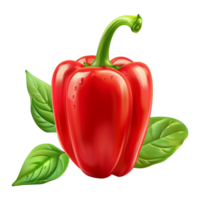 Fresh red ripe pepper with leaves isolated on transparent background png