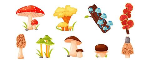 Cartoon mushrooms, set of isolated vector