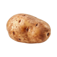 Potato isolated on transparent background png