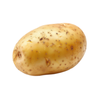 Kartoffel isoliert auf transparent Hintergrund png