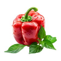 Fresh red ripe pepper with leaves isolated on transparent background png