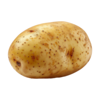 Potato isolated on transparent background png