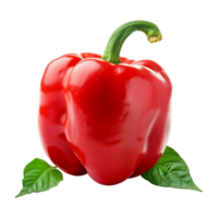 Fresh red ripe pepper with leaves isolated on transparent background png