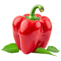 Fresh red ripe pepper with leaves isolated on transparent background png