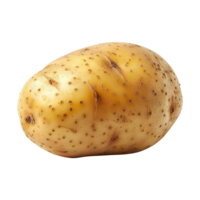 Potato isolated on transparent background png