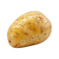 Potato isolated on transparent background png