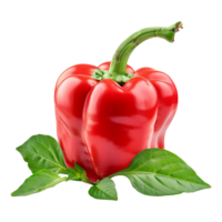 Fresh red ripe pepper with leaves isolated on transparent background png