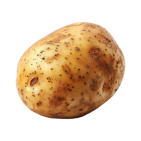 Potato isolated on transparent background png