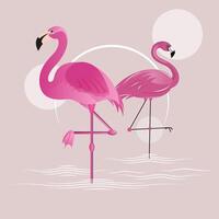 Pink Flamingo Bird Illustration Design vector