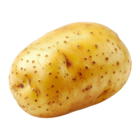 potatis isolerat på transparent bakgrund png