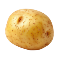 potatis isolerat på transparent bakgrund png