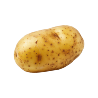 Potato isolated on transparent background png