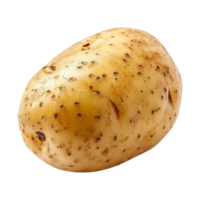 aardappel geïsoleerd Aan transparant achtergrond png